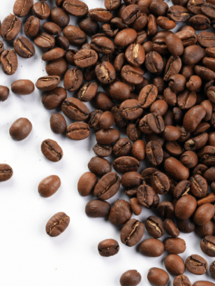 EXPLORE THE STORY BEHIND OUR COFFEE